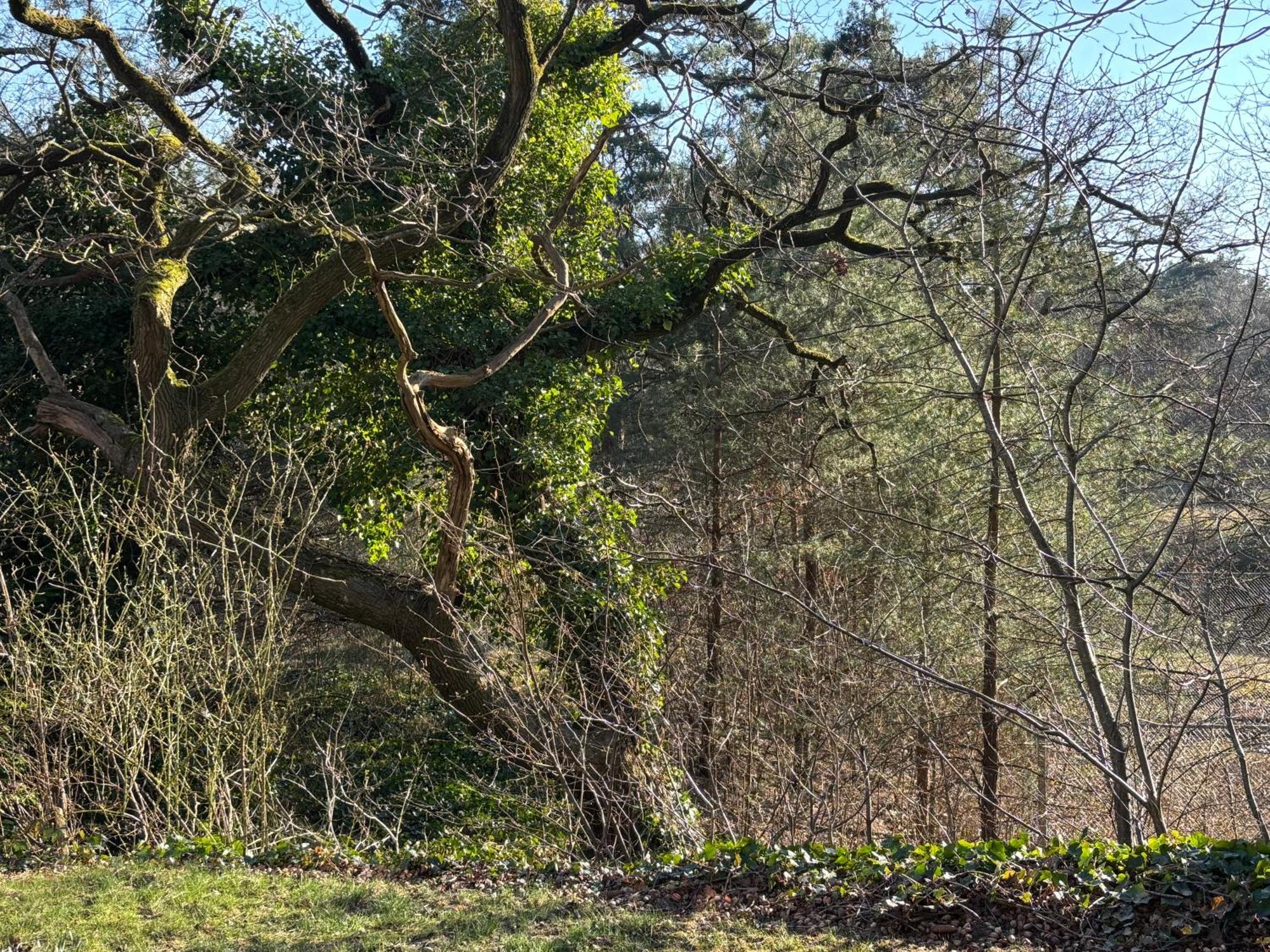 Vakantiehuis De Witte Bergen IJhorst 외부 사진